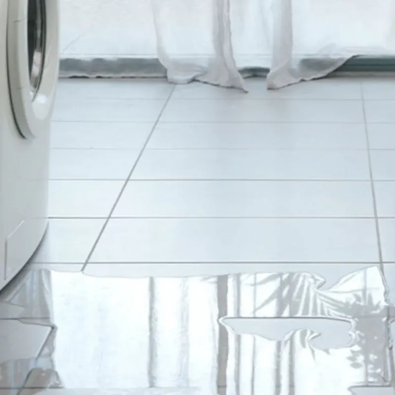 Appliance Leak Cleanup in Ann Arbor, MI